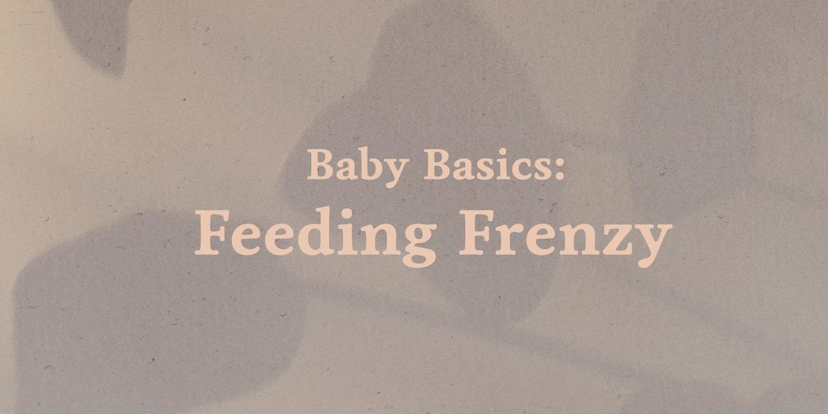 Baby Basics Feeding Frenzy, Breastfeeding Center at Parkside