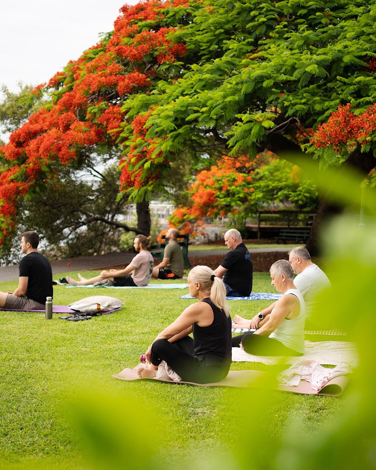 Brisbane Breathwork Session, Newstead Park, 21 January