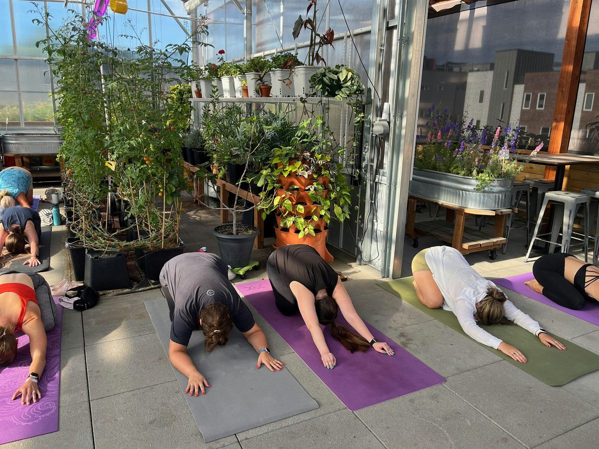 Free Friday Flow, The Feedery at Grow + Gather, Englewood, July 14 to ...