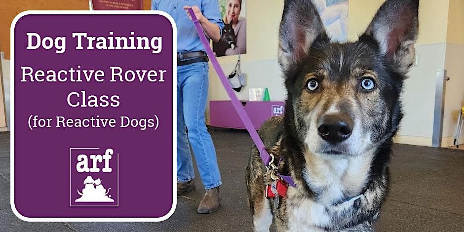 ARF Reactive Rover, Animal Rescue Foundation, Walnut Creek, 26 July ...