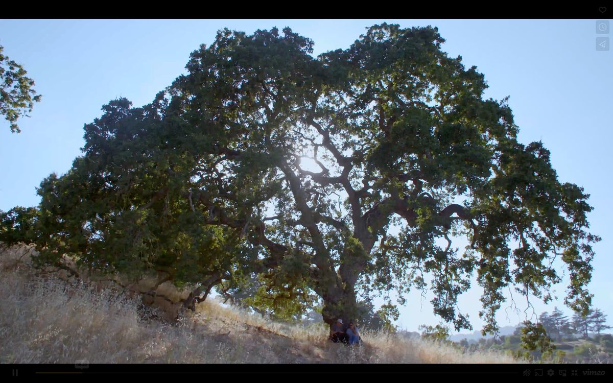 Shulgin Farm Easter Potluck