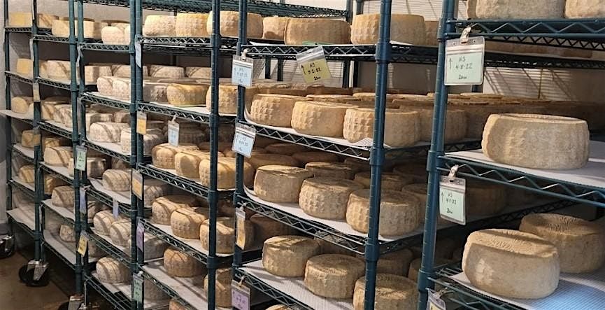 December 29th Tasting & Tour Event at Tulip Tree Creamery, 29 December | Event in Indianapolis | AllEvents