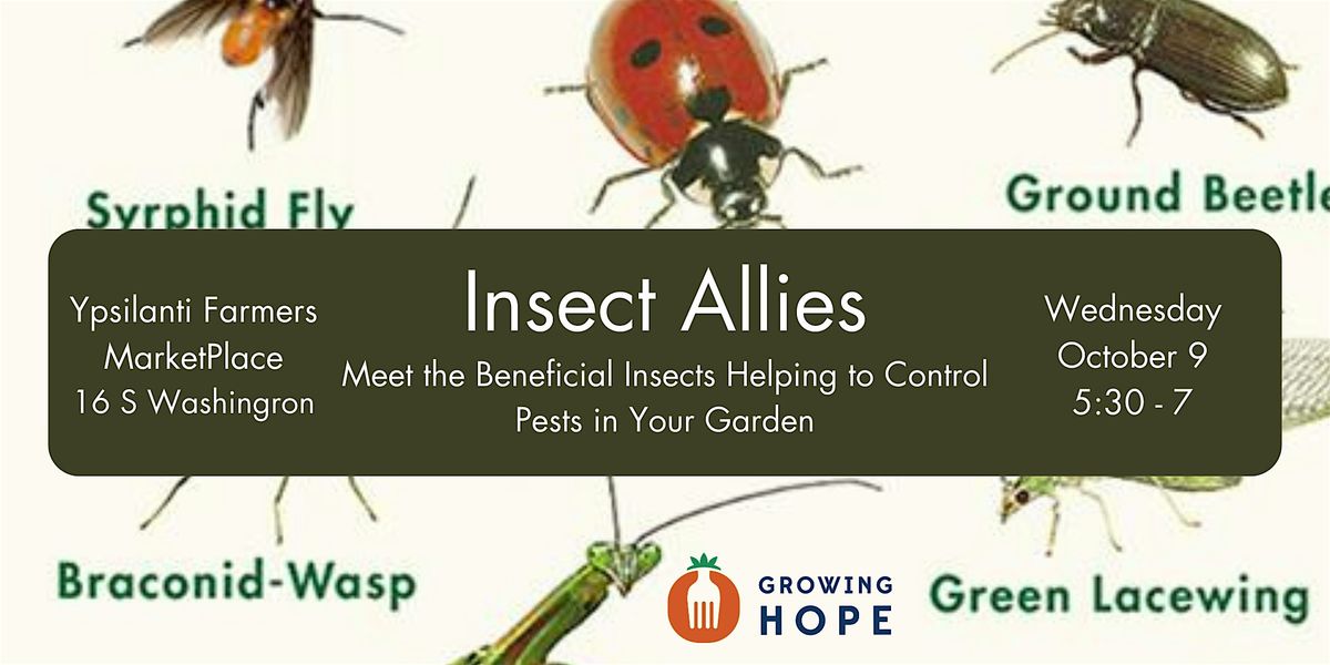 Insect Allies: Meet the Beneficial Insects Helping to Control Pests in ...