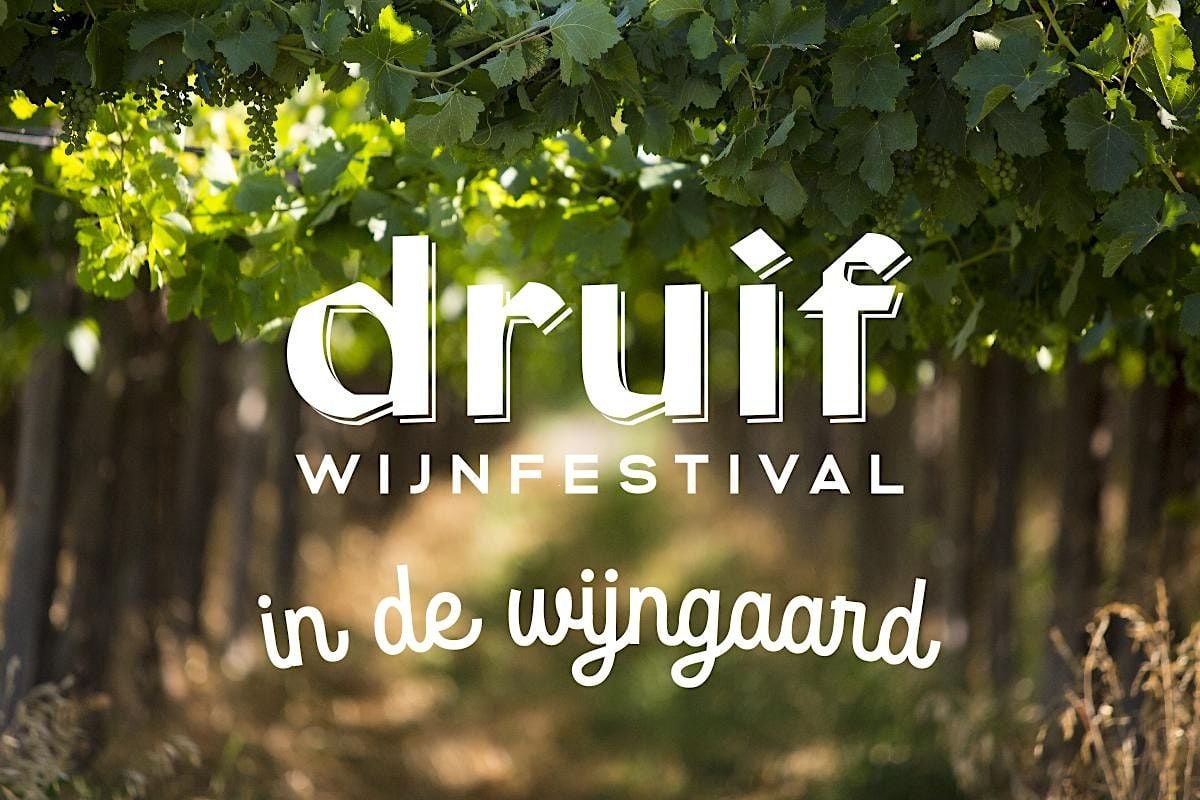 Druif Wijnfestival in de Wijngaard (er zijn nog wat kaarten aan de deur), Biologische Tuinderij Druif Wijnfestival in de Wijngaard (er zijn nog wat kaarten aan de deur), Biologische Tuinderij