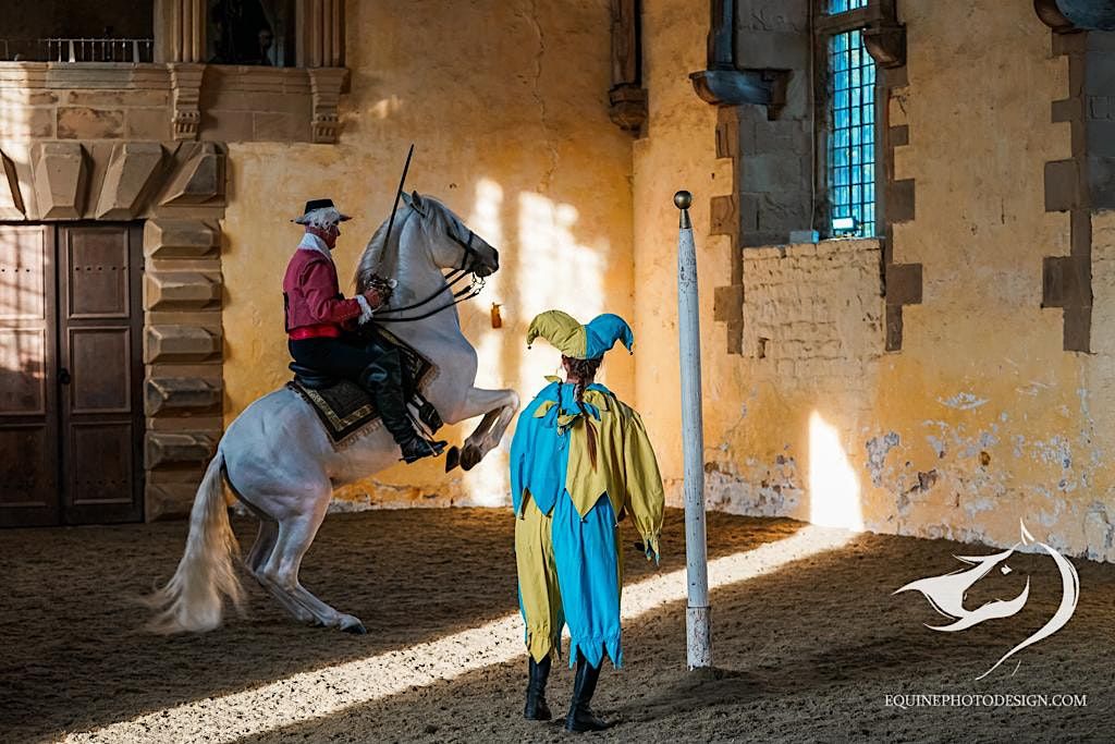 The Royal Horse of England, Pickering Grange Equestrian, Ellistown
