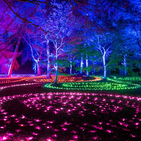 Lightscape at Brooklyn Botanic Garden, 11 December | Event in Brooklyn | AllEvents