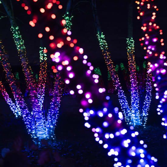 Lightscape at Chicago Botanic Garden, 9 December | Event in Glencoe | AllEvents