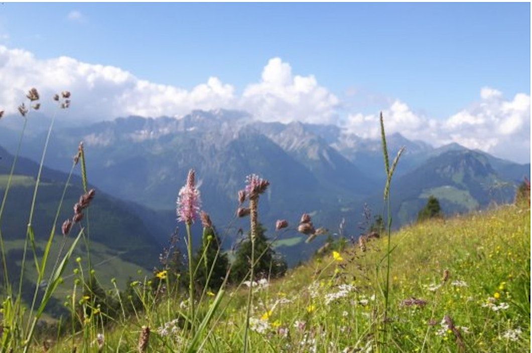 Work-Life-Design im Allgäu (Panoramahotel Oberjoch), 23 June | Event in Bad Hindelang | AllEvents