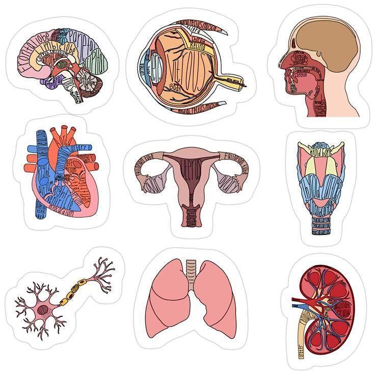 CELL 220 Lab Exam 2 Fall 2025, 2 December | Event in Provo | AllEvents