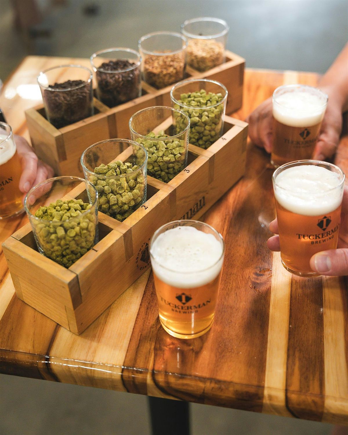 Guided Tasting and Tour | Event in Conway | AllEvents