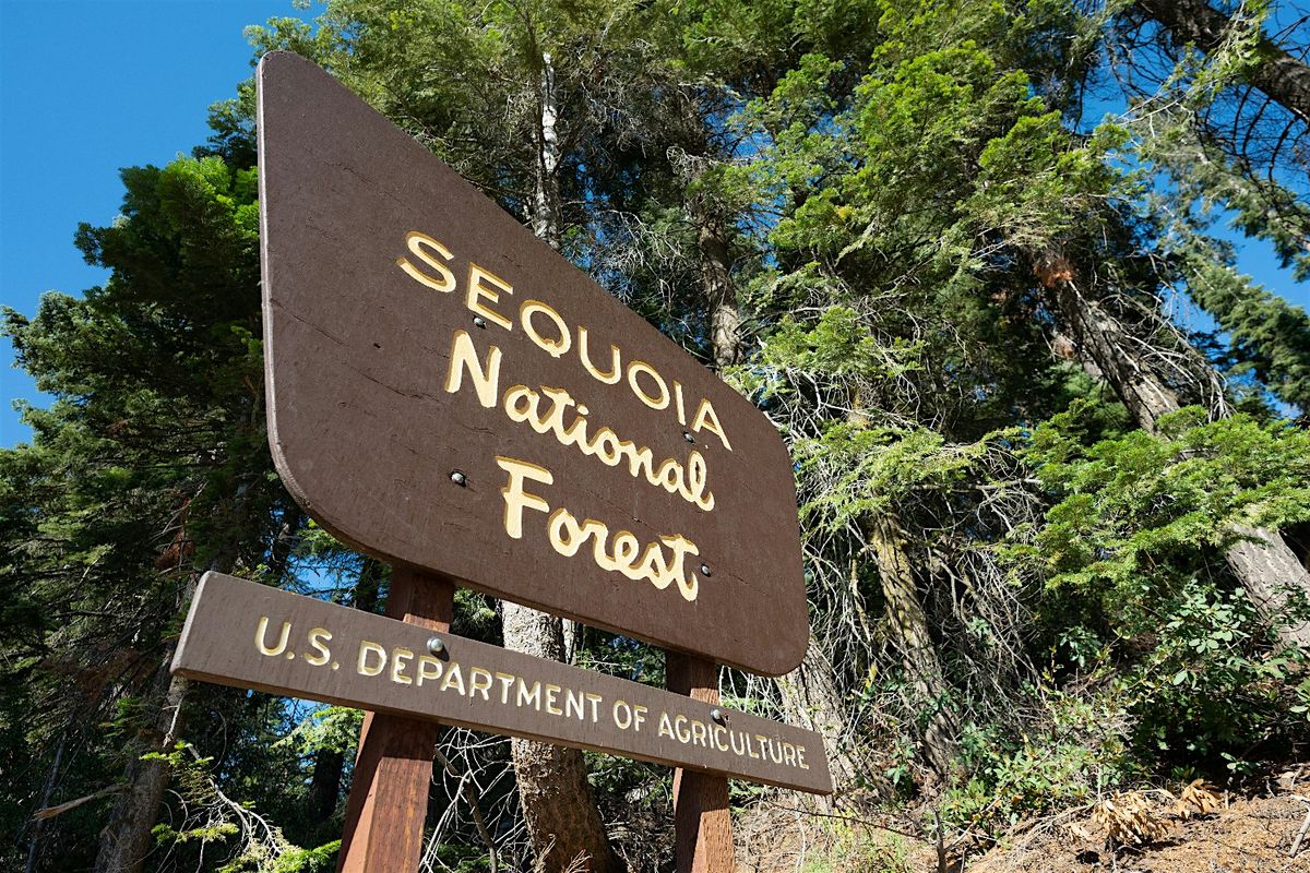 Sequoia: Kings Canyon Self-Driving Audio Guide | Event in Three Rivers | AllEvents