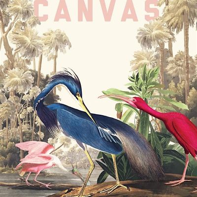 Canvas Restaurant & Market logo