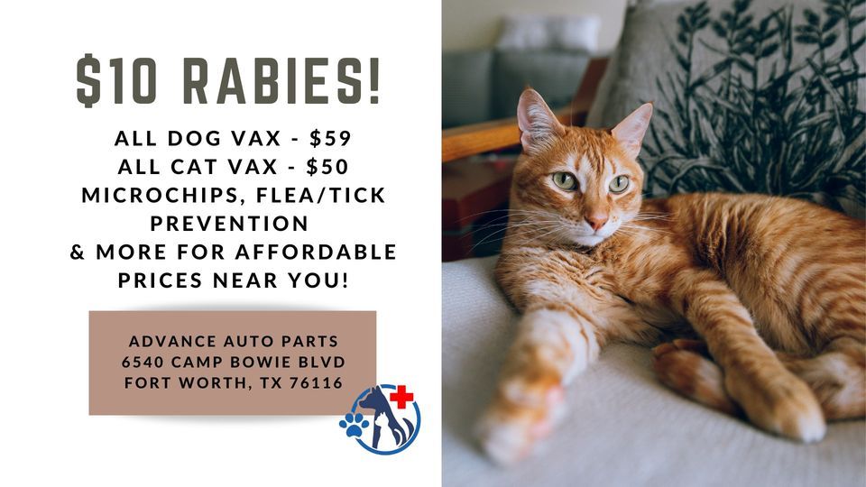 Fort Worth Low Cost Pet Shots (Camp Bowie Blvd), Advance Auto Parts