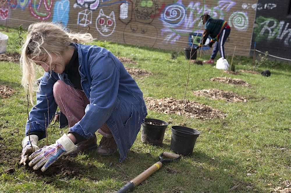 Tree Planting London Fields, London Fields, January 7 2023 AllEvents.in