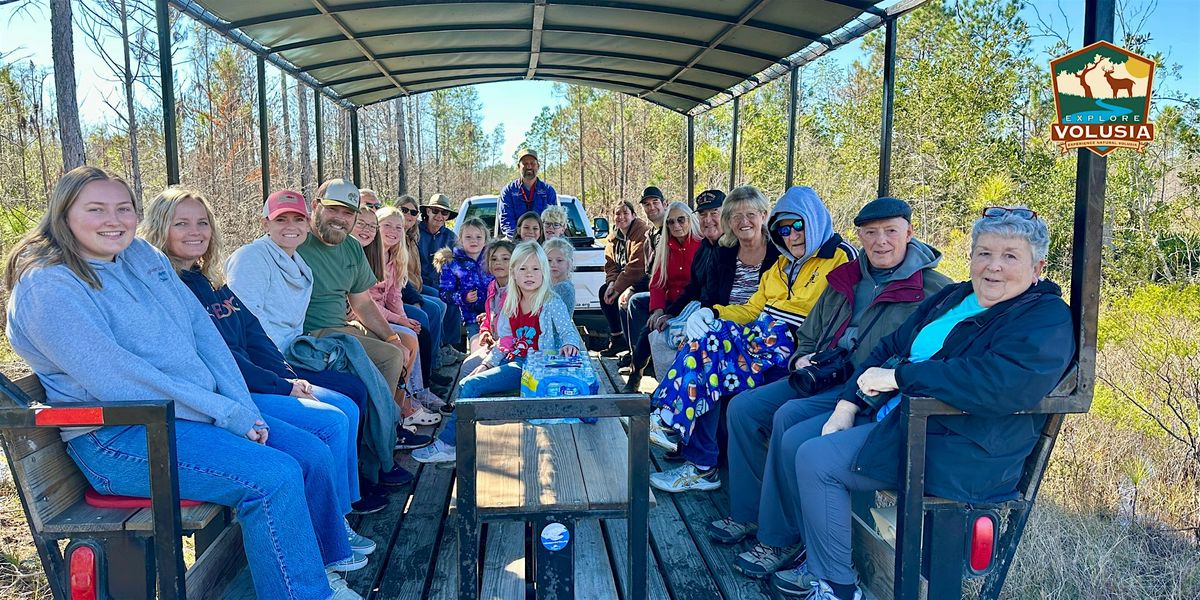 Deep Creek Eco-buggy Tour: Afternoon, 5 December | Event in New Smyrna Beach | AllEvents