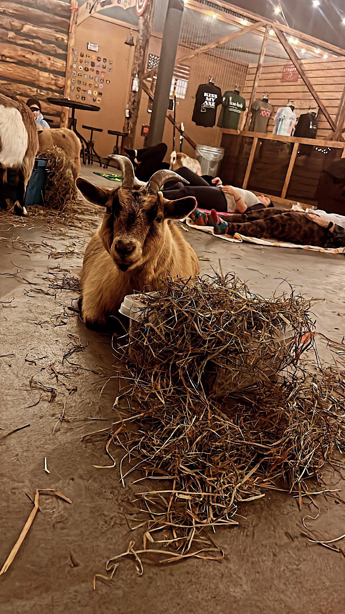 Greatest of Axe Time Goat Yoga, Stumpy's Hatchet House Upper Saddle