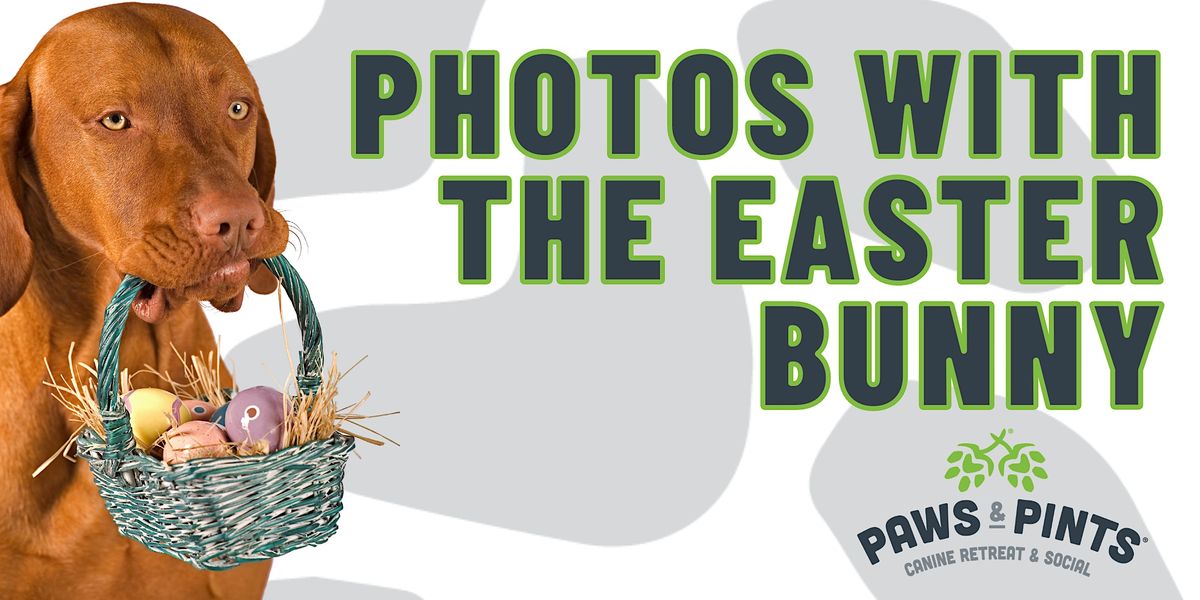 Photos with the Easter Bunny, Paws & Pints, Des Moines, April 6 2023