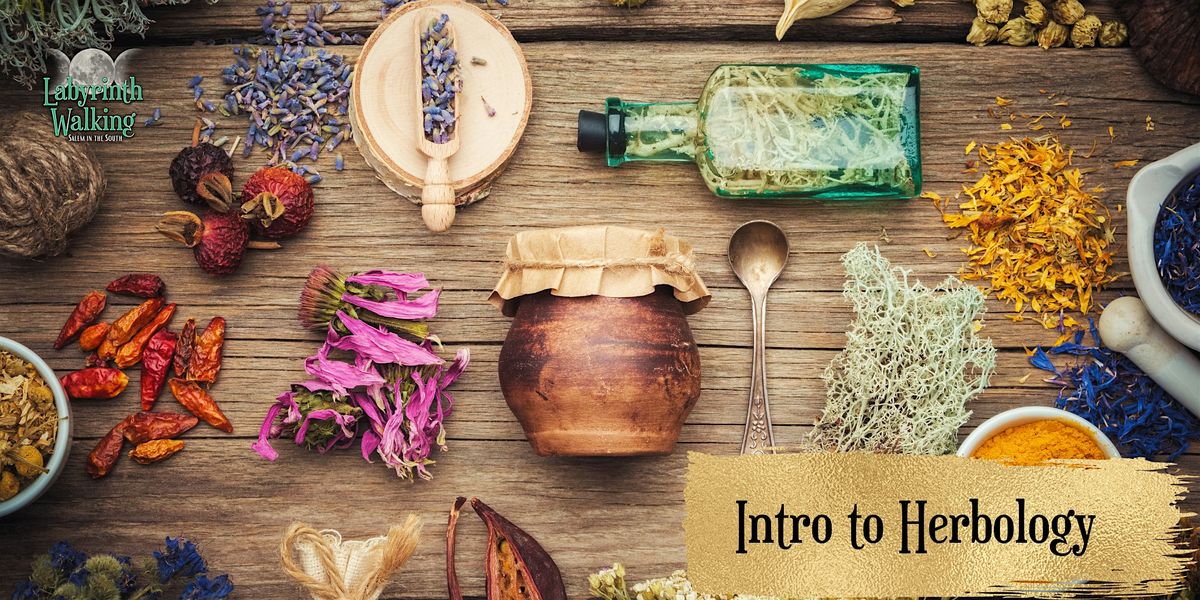 Intro to Herbology, 16 January | Event in Myrtle Beach | AllEvents