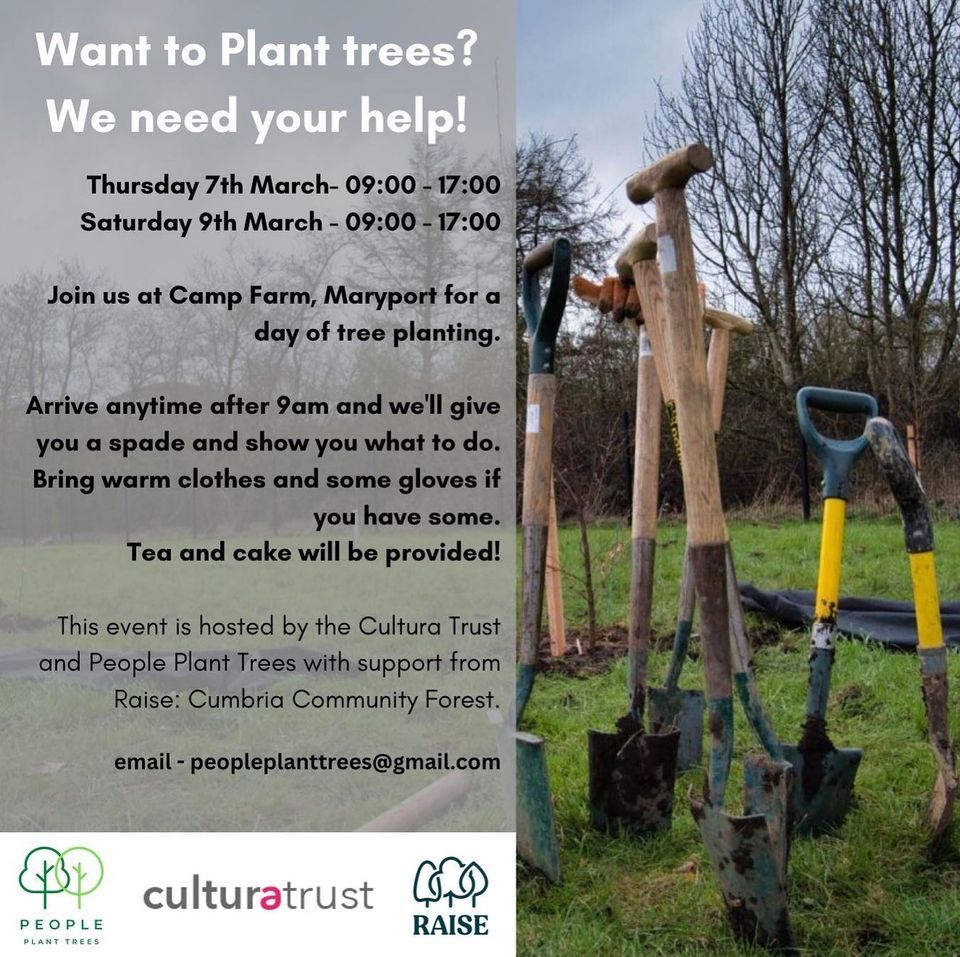 Camp Farm Tree Planting Day, Camp Farm, Maryport, 7 March to 8 March ...