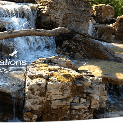 Nature's Re-Creations