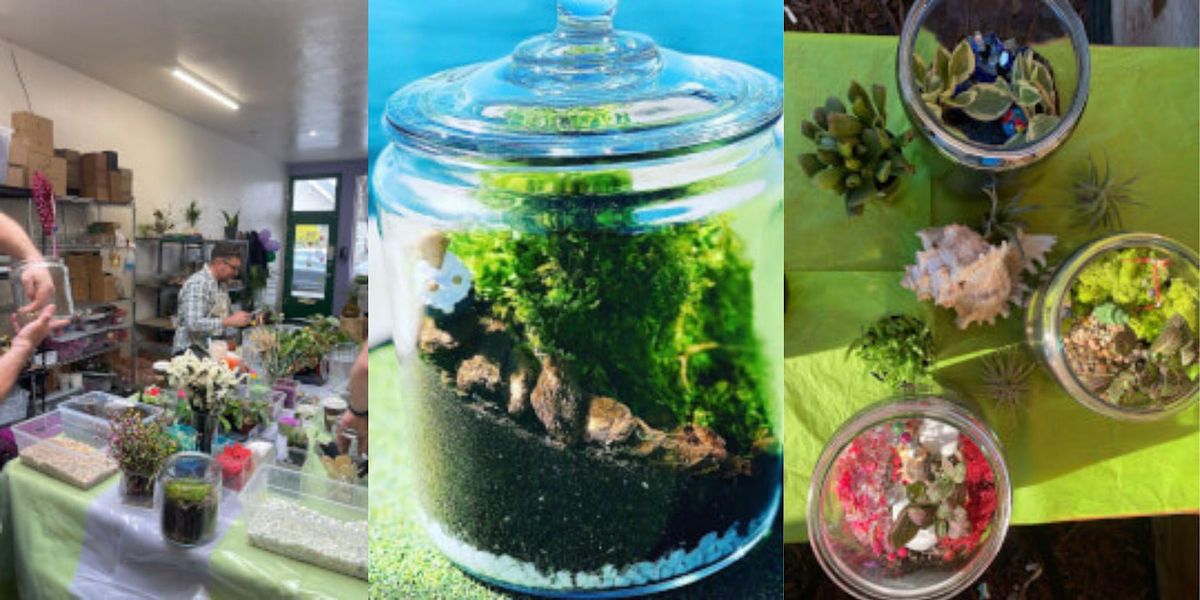 Closed Terrarium 340 N Ellsworth Ave, San Mateo, November 19