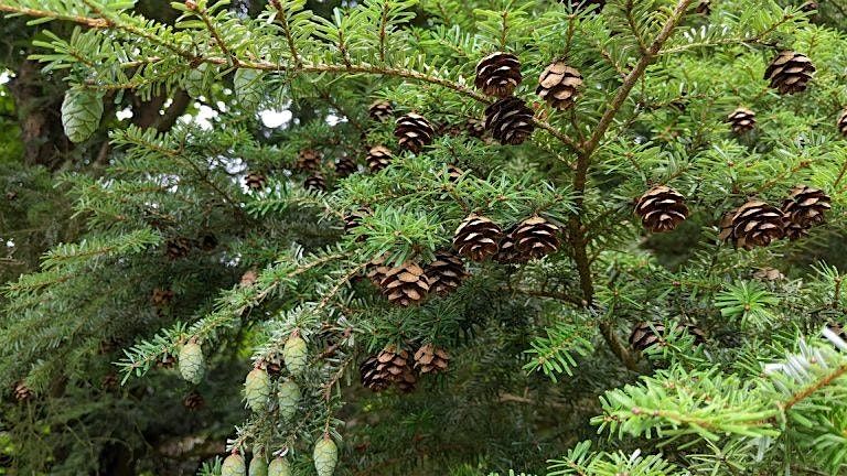 Create! with Melody Makes, Holiday Edition, 11 December | Event in Bellefontaine | AllEvents