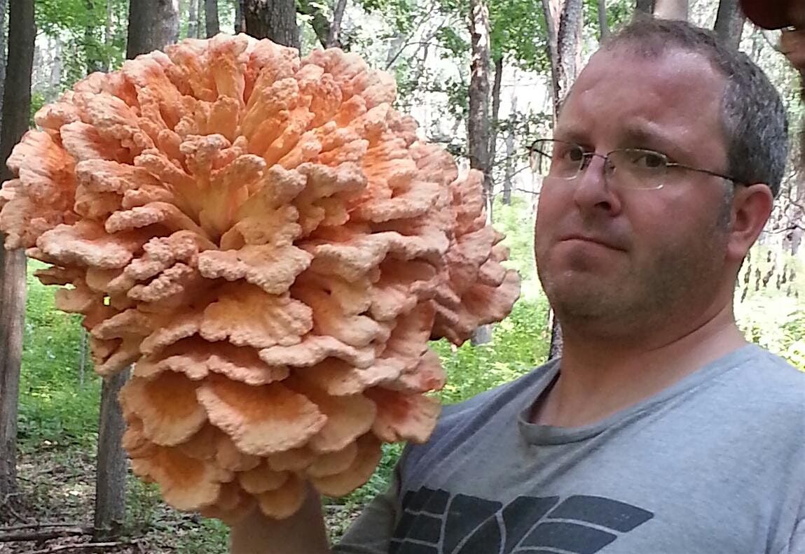 Eat the Neighborhood Foraging Walk & Wine Tasting Wine & Cheese