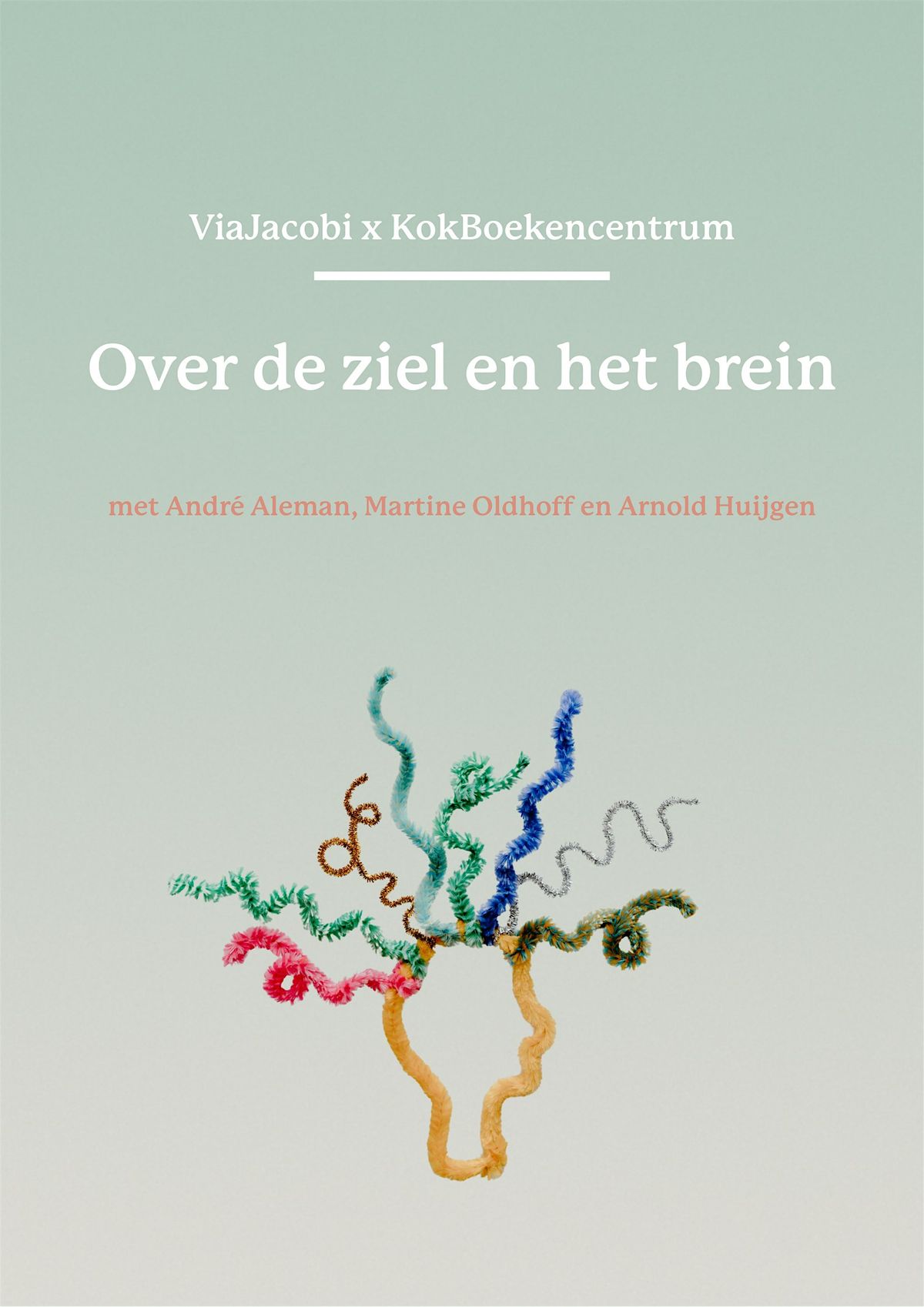Over de ziel en het brein