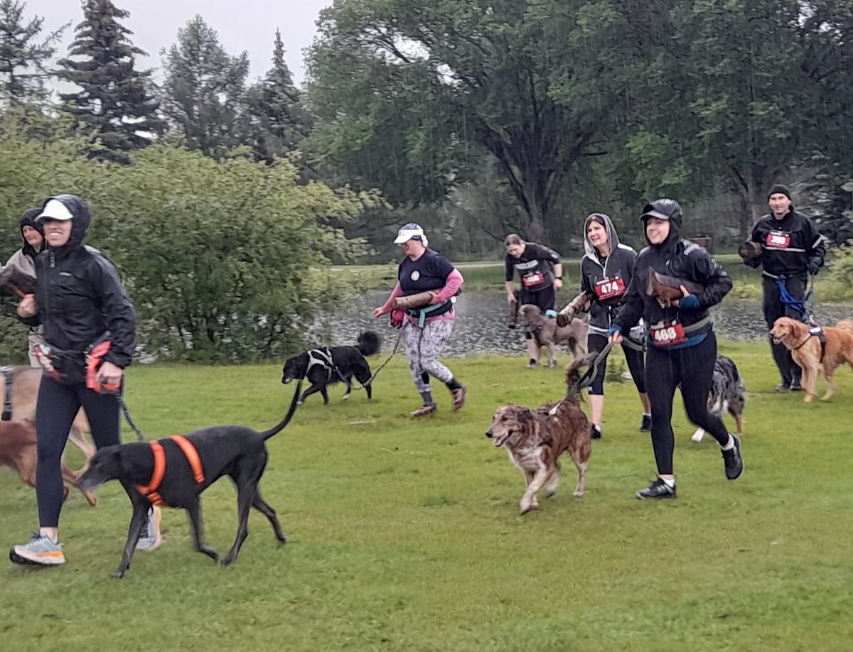 Zulu K9 Challenge Edmonton 2023, Rundle Park, Edmonton, 10 June 2023