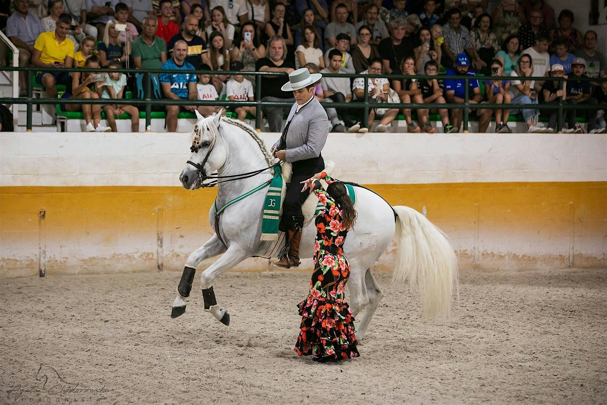 Espectáculo de caballos + flamenco + cena| Horse show + flamenco + dinner | Event in Málaga | AllEvents