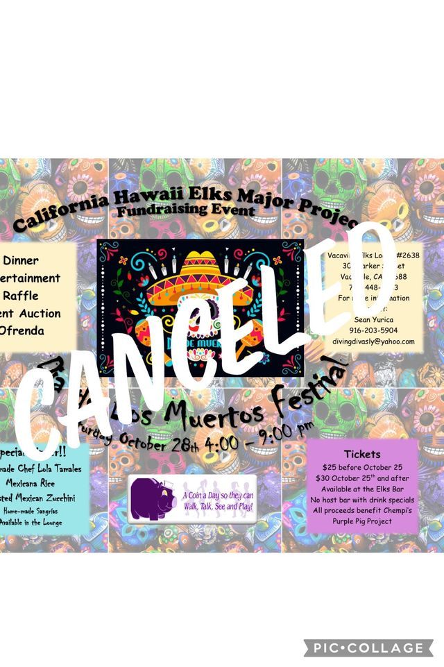 Dia de los muertos festival california hawaii elks major project