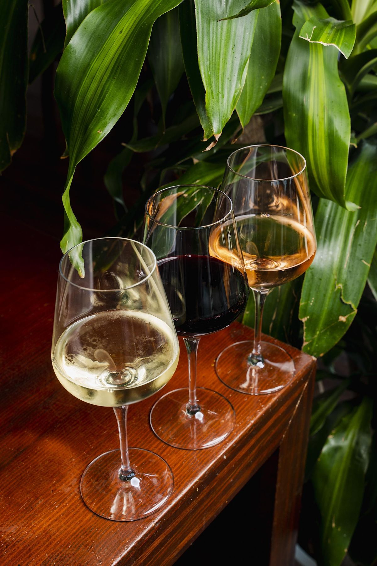 JUSTIN Wine Pairing and FourCourse Dinner A Culinary Journey, Rusty