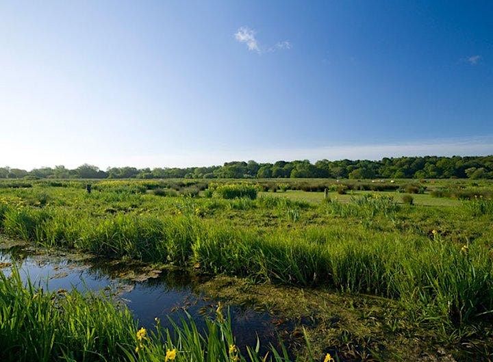 Thorpe Marshes Guided Walk (EDU BROADS), Thorpe Marshes, Thorpe Saint