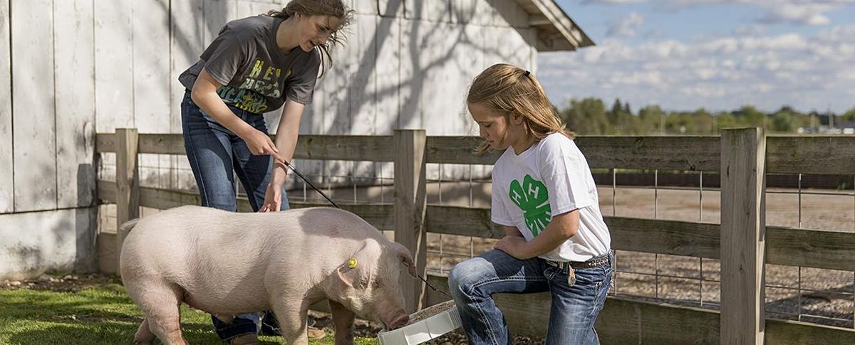 All Events In Beaufort Today And Upcoming Events In Beaufort Beaufort Sc Events 2022