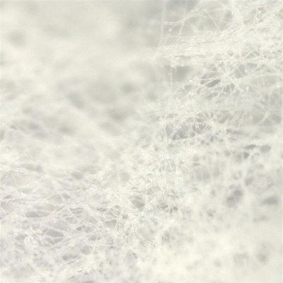 Blunik Studio x Biodesign Now logo