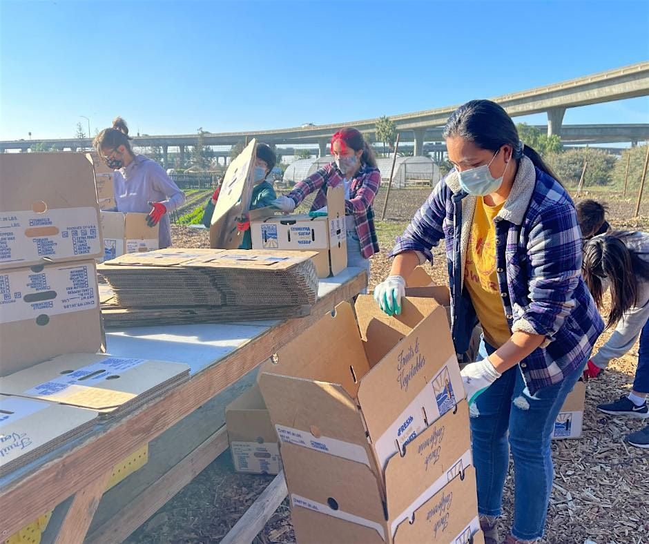 Veggielution Farm Volunteering - Farm Box Packing/ Mixed Activities | Event in San Jose | AllEvents