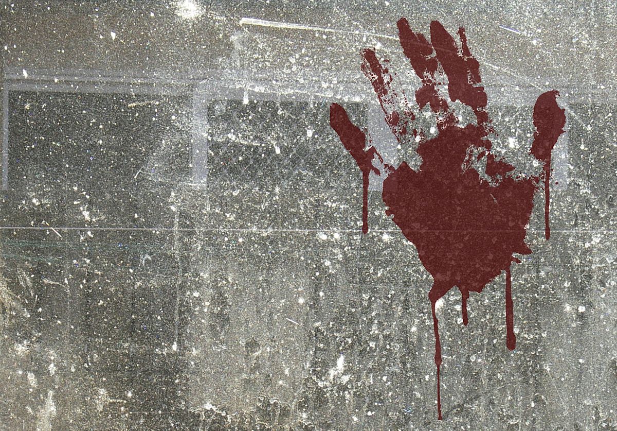 Chapel Hill True Crime Walking Tour | Event in Chapel Hill | AllEvents