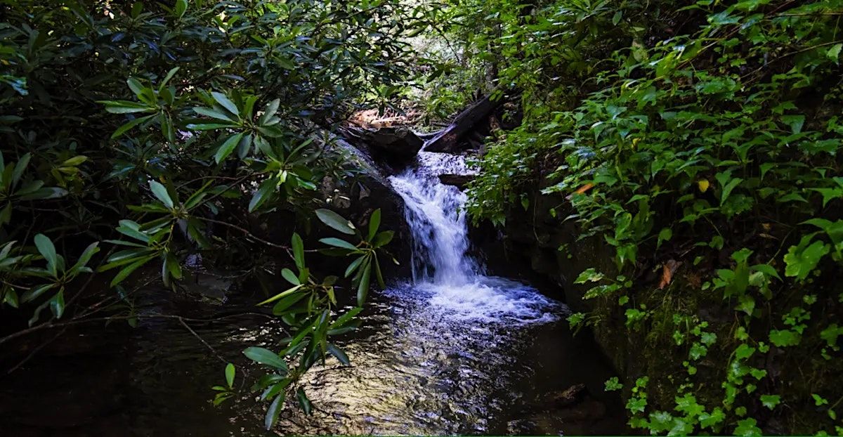 Raven Cliff Falls Trail, Raven Cliffs Trailhead, Helen, 21 May 2023