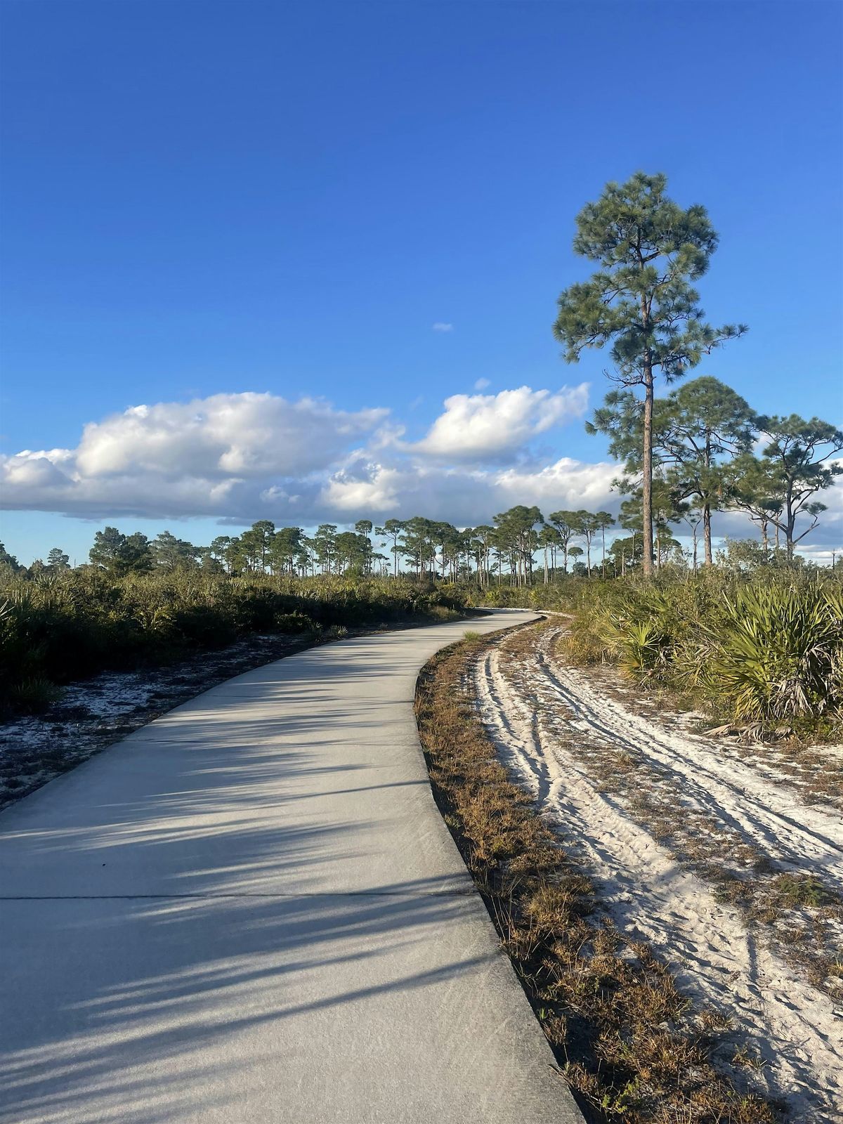 Step Into Nature: Morning Greenway Walk, 12 January | Event in Stuart | AllEvents