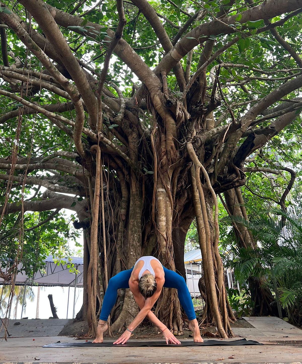 Beginners Yoga Class Learn the Basics and Discover the Benefits