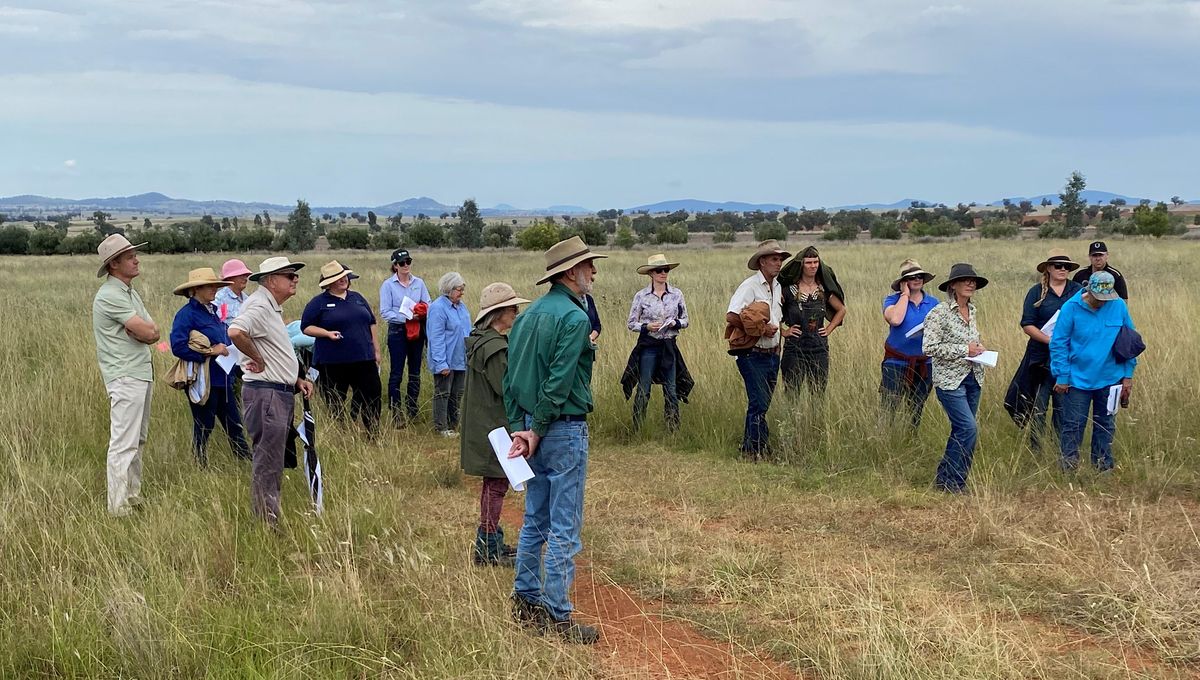 Plants in our Pastures Native Vegetation ID Field Day, 'Ngiyaani