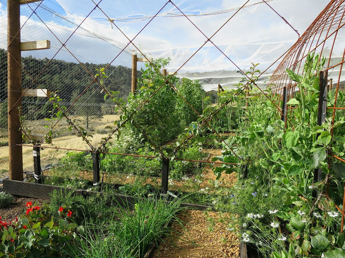 Hidden Valley Workshops: Pruning and Espalier Fruit, 3 August | Event in Golden Valley | AllEvents