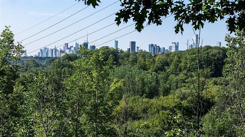 NatureTO: Trees Around the Branch Tour, 5120 Yonge St, Toronto, 17 ...