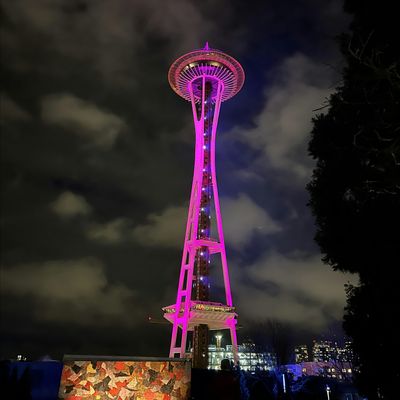 Seattle Cinderella Project logo