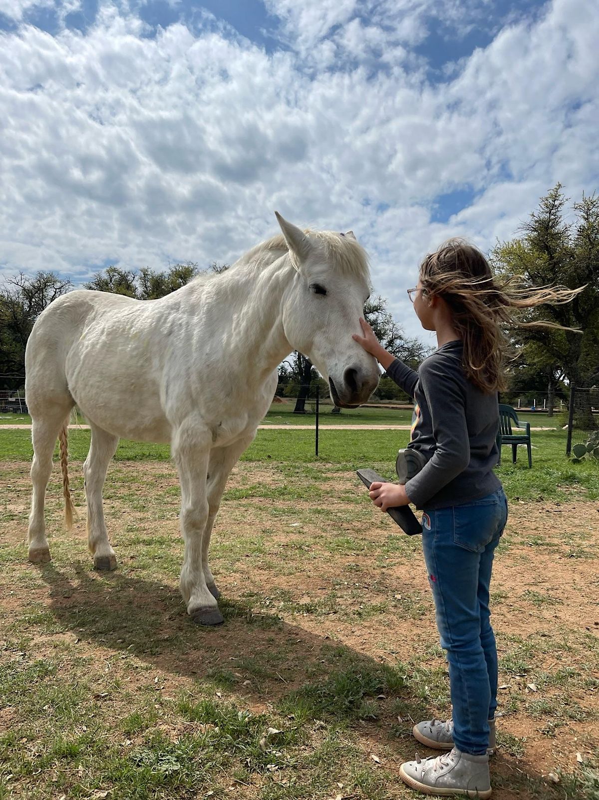 So you Want to Own a Horse? A Horse Care for Kids, Marble
