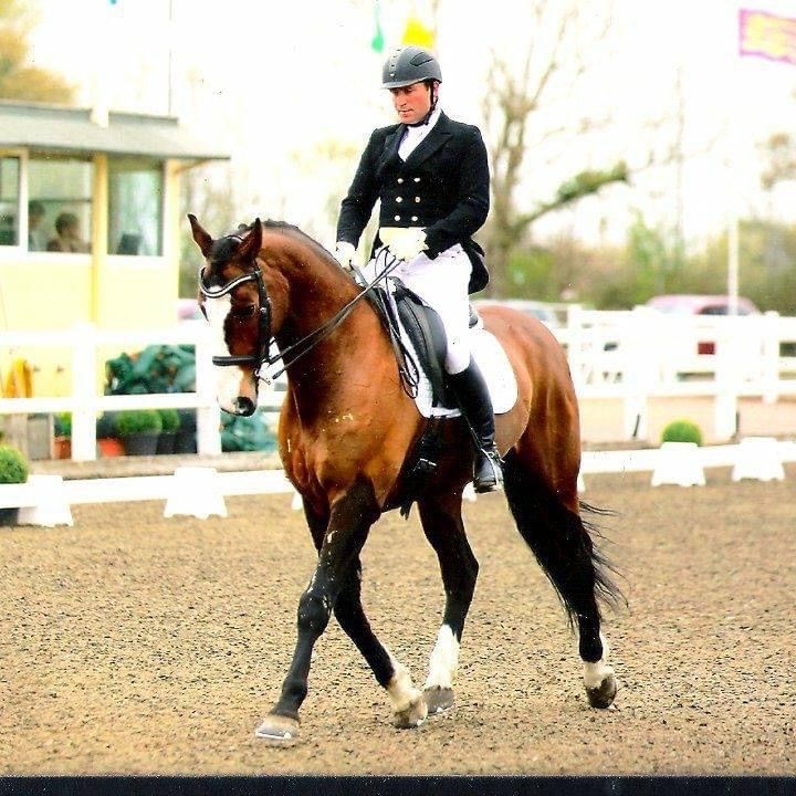 TWRC Dressage and Jump Training with Andrew Lovell, Chiverton Riding