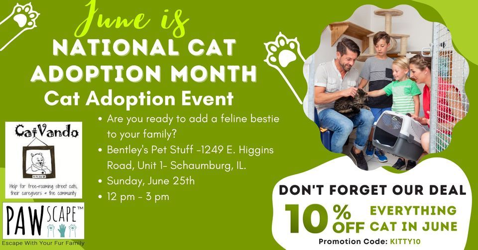 Looking For Love Adoption Event , Bentley's Pet Stuff & Grooming (1249