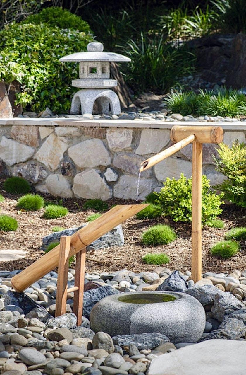 Twilight Event at Brisbane’s ‘Bonsai House’, Brisbane Botanic Gardens