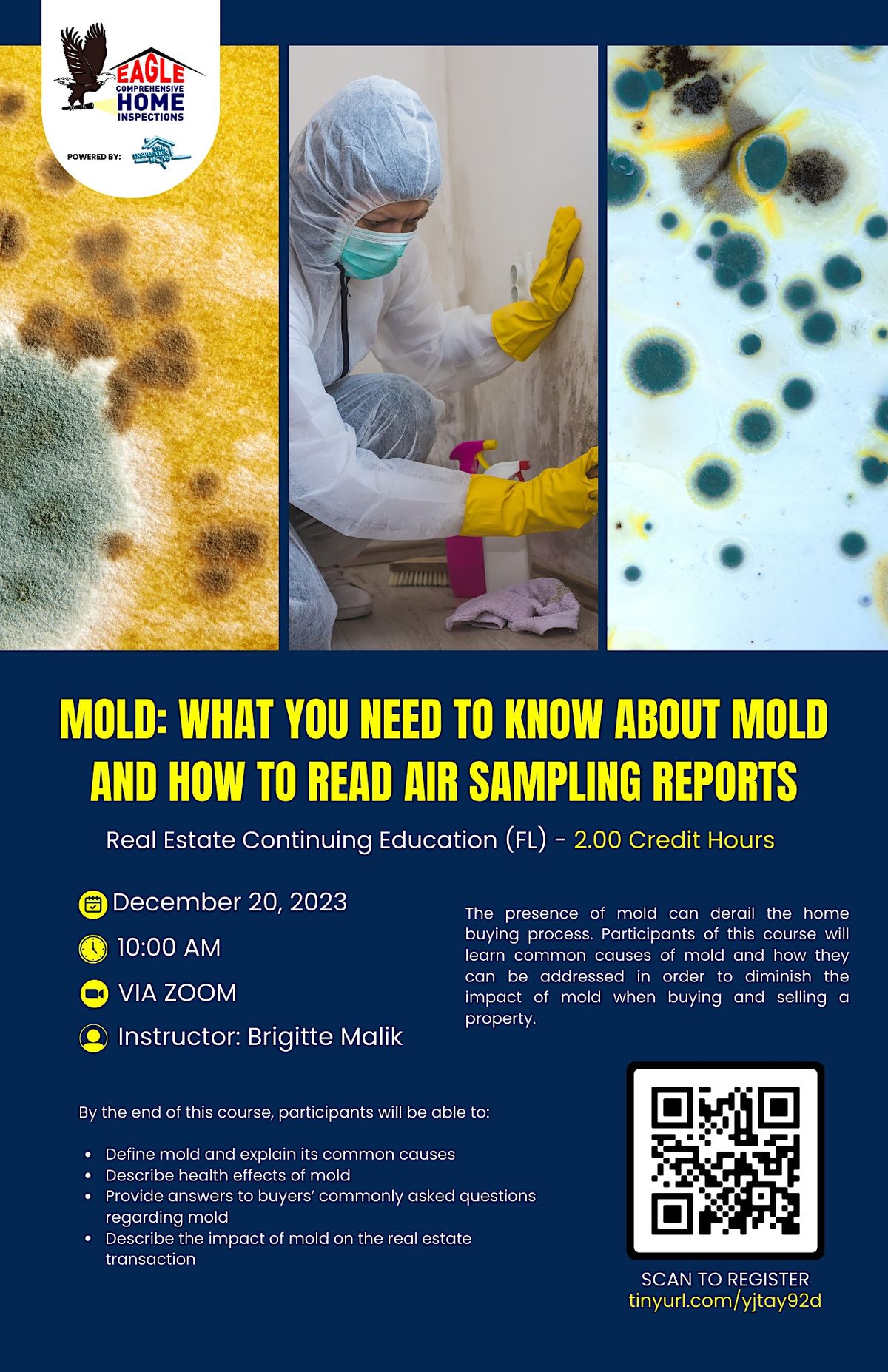 Mold What you Need to Know About Mold and How to Read Air Sampling