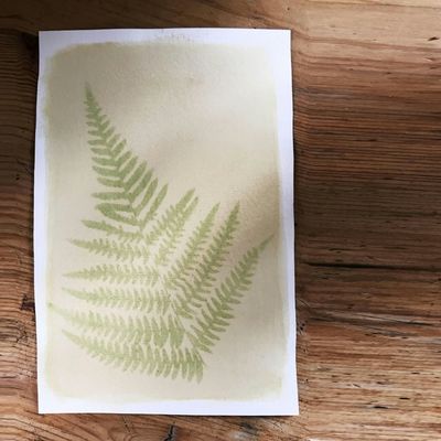 Anthotype printing, Kings Road Studios, Hastings, March 22 2024 ...